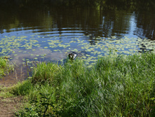 DSC01259.JPG