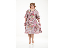 ������ ����� (������ � �������)  ��� �� ����