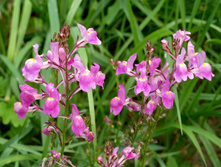 P1150011.JPG