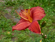 P1160045.JPG