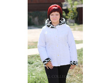 2182 ���, ������ PK1-157-1-01-001.jpg