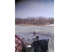IMG_20150321_111436.jpg
