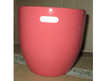 ����� Simply Chic red  149,18 ���.