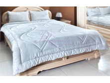 ������ Silver Premium