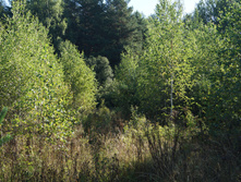 DSC01256.JPG