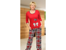 ������: �-21-2