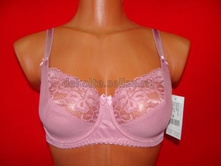 ���� ��������