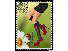 VERSICOLOR gamb. - nero.jpg