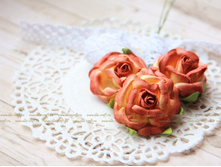 ������ ���� 35 ��, ���� ���������