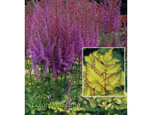 ������������������� - 120,0