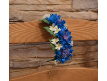 ������ � ����������. ������ �������������, �������� ��������� �� ����������� ������.