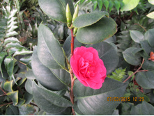 ��� �� �����, �������!