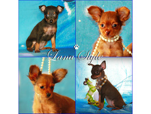 ����� ������.jpg