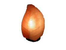 ������� ����� wonder life ����, ���� 1580���.png