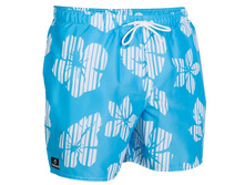 199���__�������  8303917 ����� Hendaia ���.