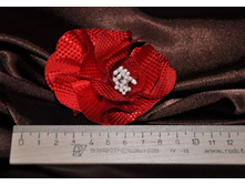 ���.: ������ ����