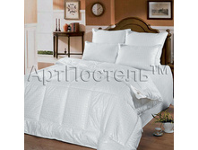 ������ <<������� ���>>