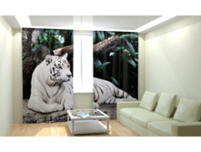 ����� ����.jpg