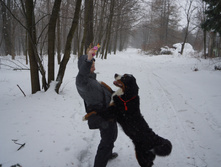 DSC02650.JPG