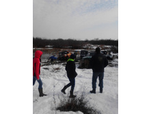 IMG_20150321_104318.jpg
