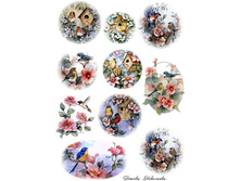 ���� ����.jpg