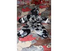 �������+�����+����� ����� 2000�