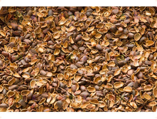 �������� ��������� ����� 55 �-310�