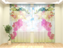 ������� �������.jpg