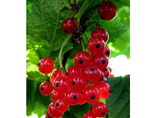 ��������� ������� ��������� ���������.jpg