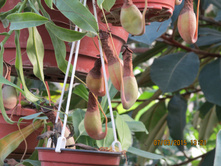 ��� ������ ��� �������, ������� �...��?