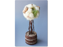 ����������� ���� - �������