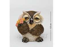 OL-6503-XE 470 �.jpg