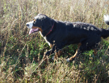 DSC01253.JPG