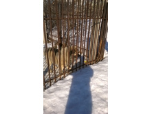 �������� 041.jpg