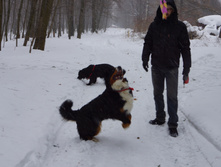 DSC02605.JPG