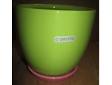 ����� Caspo Oibo d 16 ��  338,16 ���. , �.16 ��,  �. 16��,  �.  ��