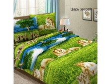 ���� ������.jpg