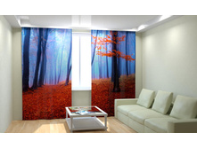 ��������� �������� ���.jpg