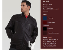 317 ���� 800�.png