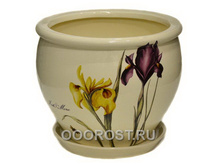 ������ ������� ��� IRIS 011-3-070.jpg