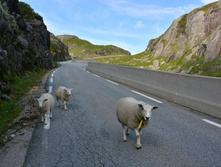 �������� 2014_047.jpg