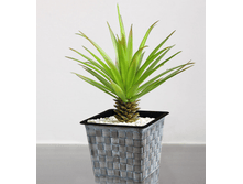 MV-0*09 ����� ��������