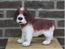 ������� �����.png