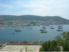 DSCN0308 - �����.JPG