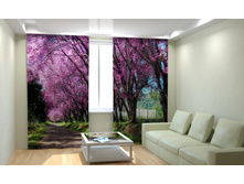 ��������� �����.jpg