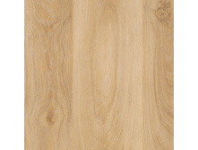 ��� ������.jpg