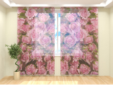 ������ ����.jpg