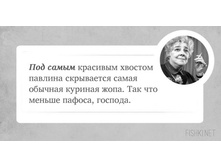 ������� ����.jpeg