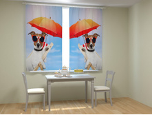 ������ � �������.jpg