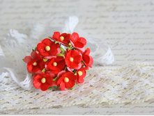 ����� Sweetheart Blossoms ����������� �������